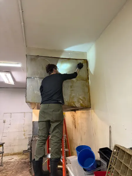Cleaning a commercial kitchen wall