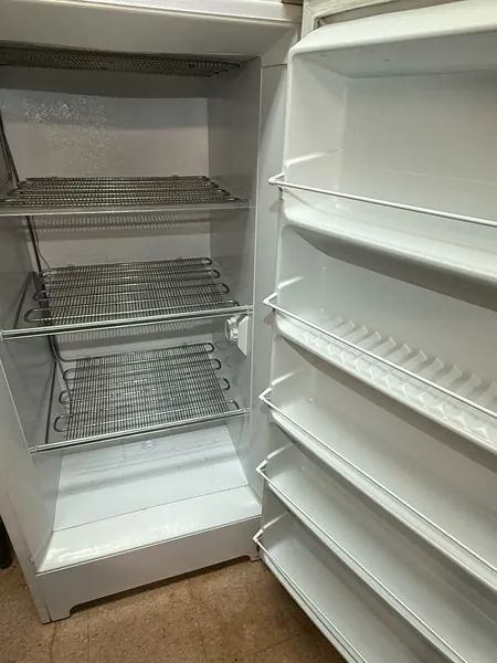 Refrigerator shelves and interior